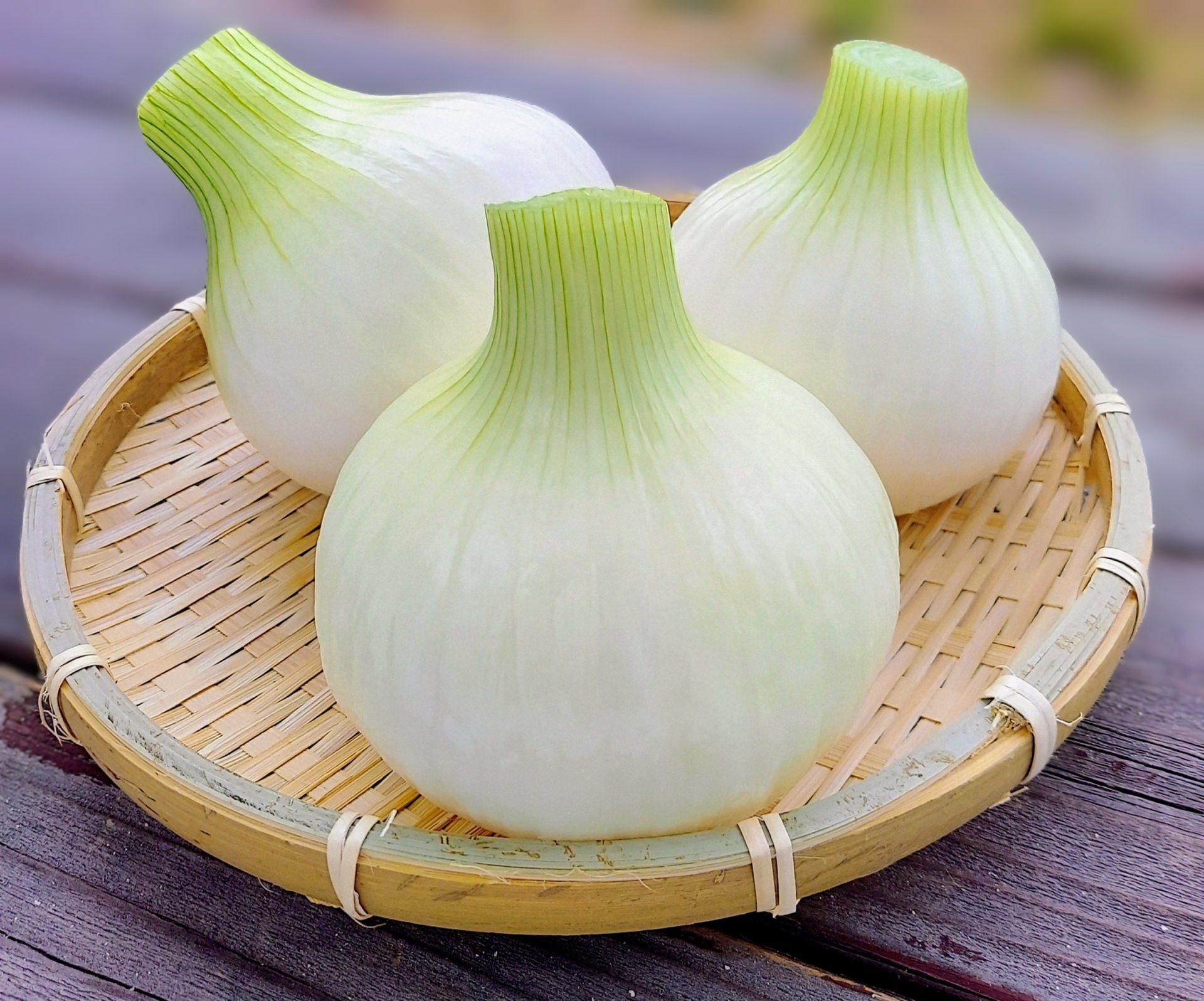 新玉ねぎの白くてみずみずしい外観
