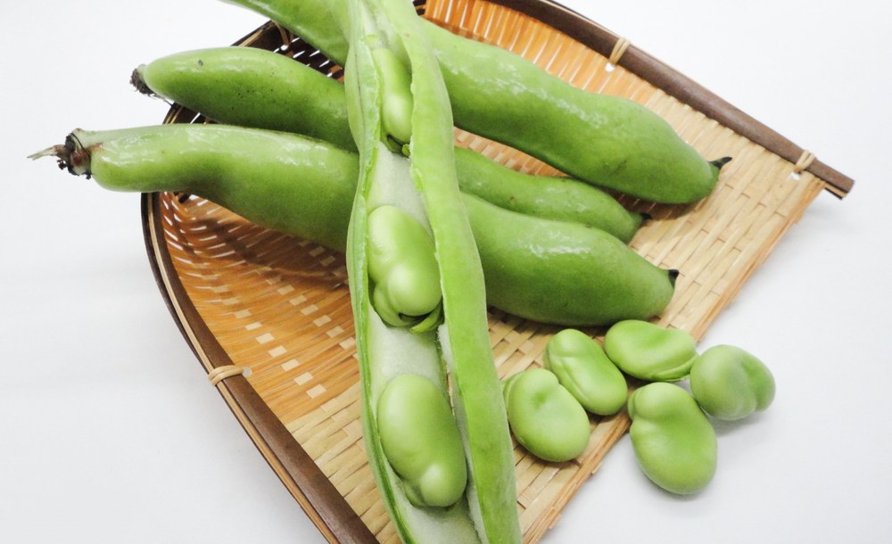 そら豆 塩茹で 端午の節句