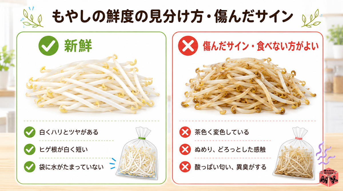 もやし 鮮度の見分け方・傷んだサイン