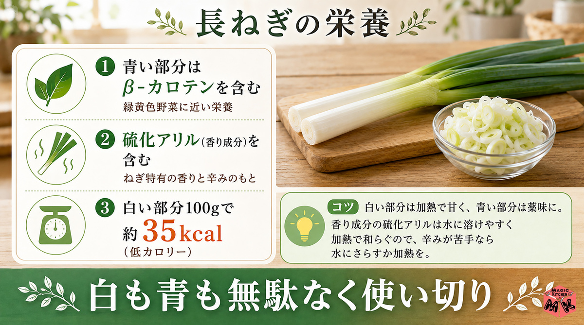 長ねぎの栄養 栄養士解説