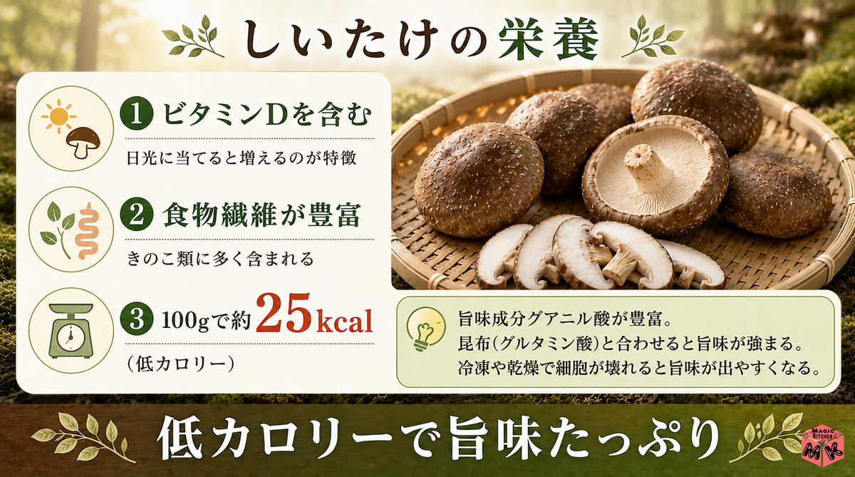 しいたけの栄養 栄養士解説