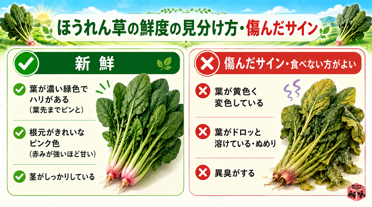 ほうれん草 鮮度の見分け方
