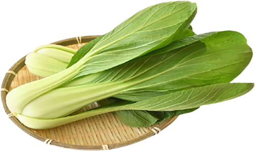 青菜