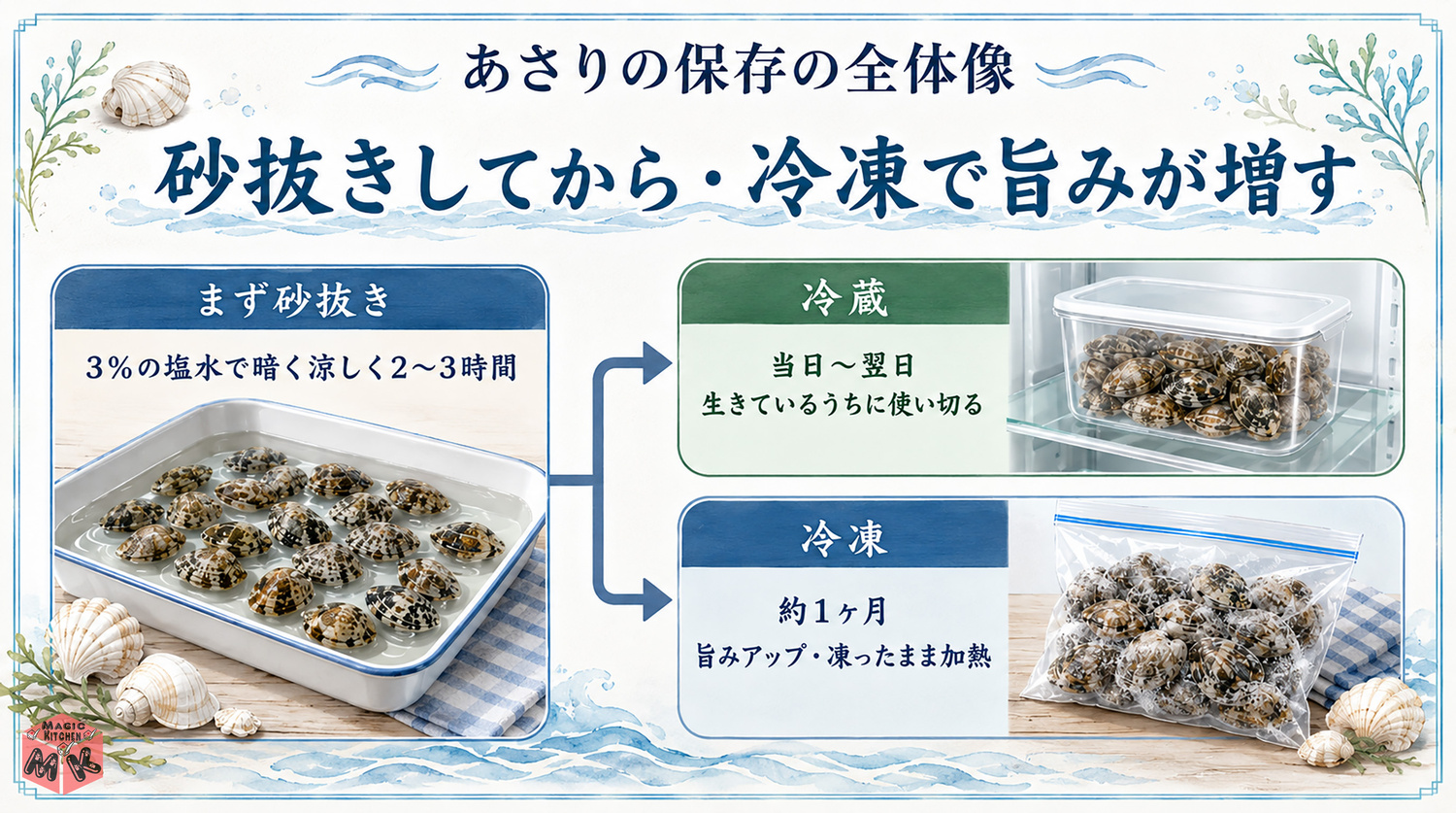 あさりの保存方法の全体像インフォグラフィック