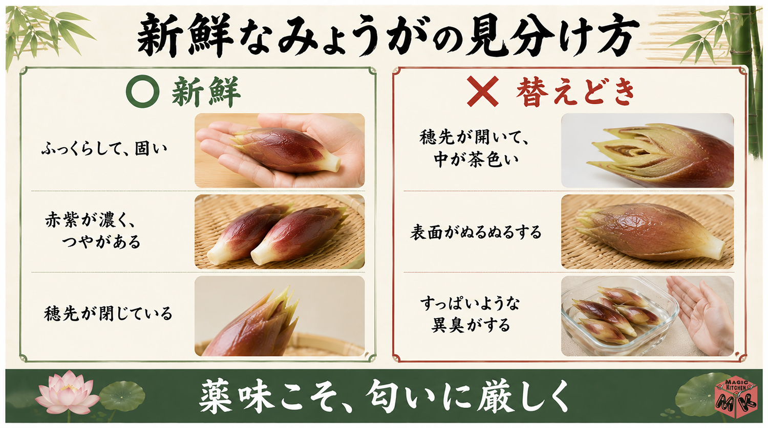 新鮮なみょうがの見分け方と傷んだサインの図解