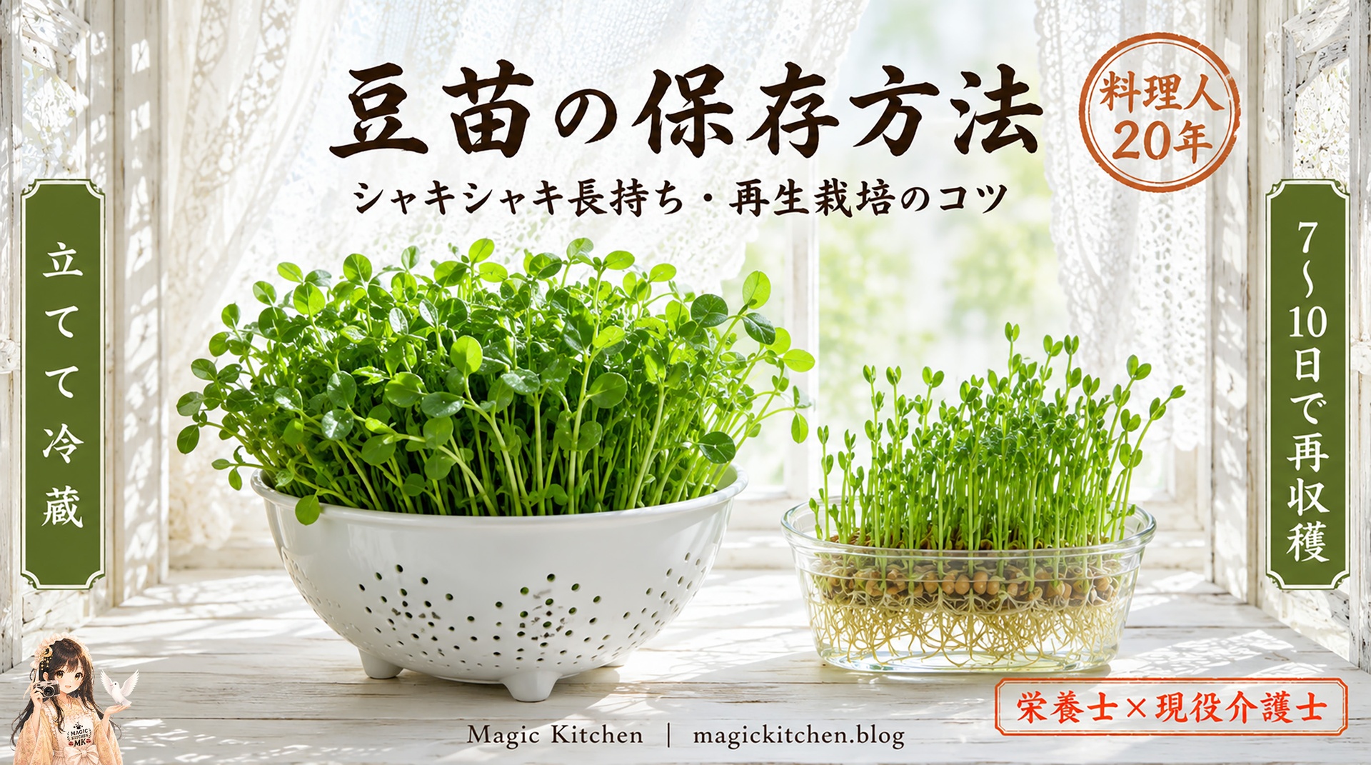豆苗の保存方法・シャキシャキの豆苗と窓辺の再生栽培