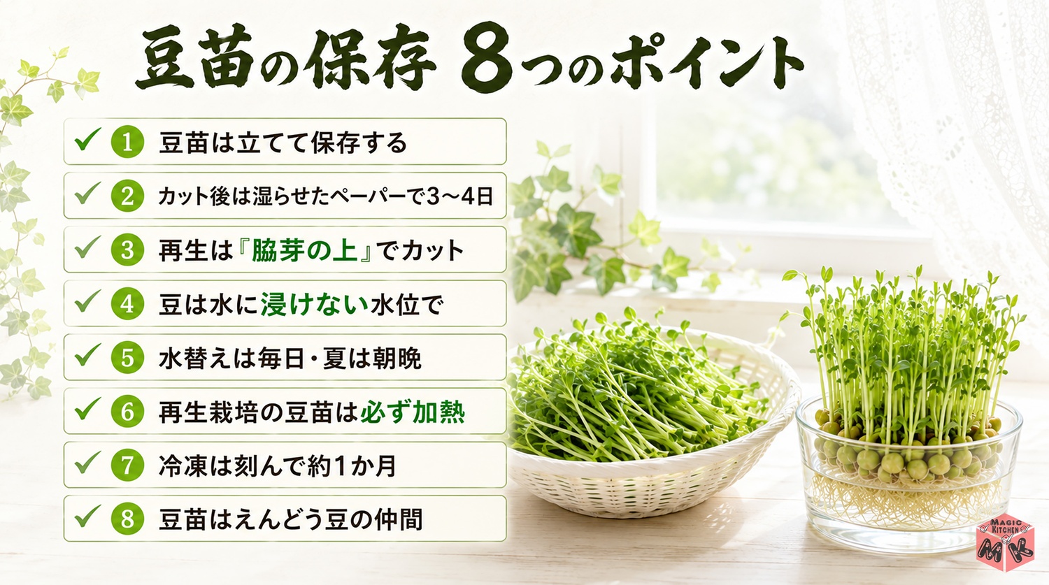 豆苗の保存のまとめ8つのポイント（立てて冷蔵・脇芽の上でカットなど）
