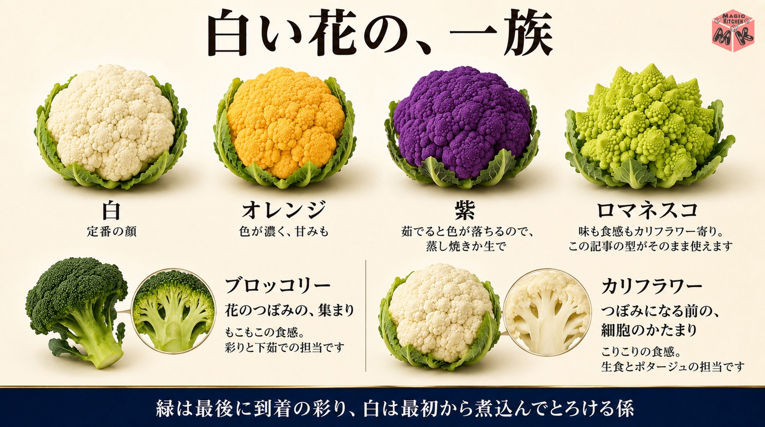 カリフラワーとブロッコリーとロマネスコの兄弟対比の図解