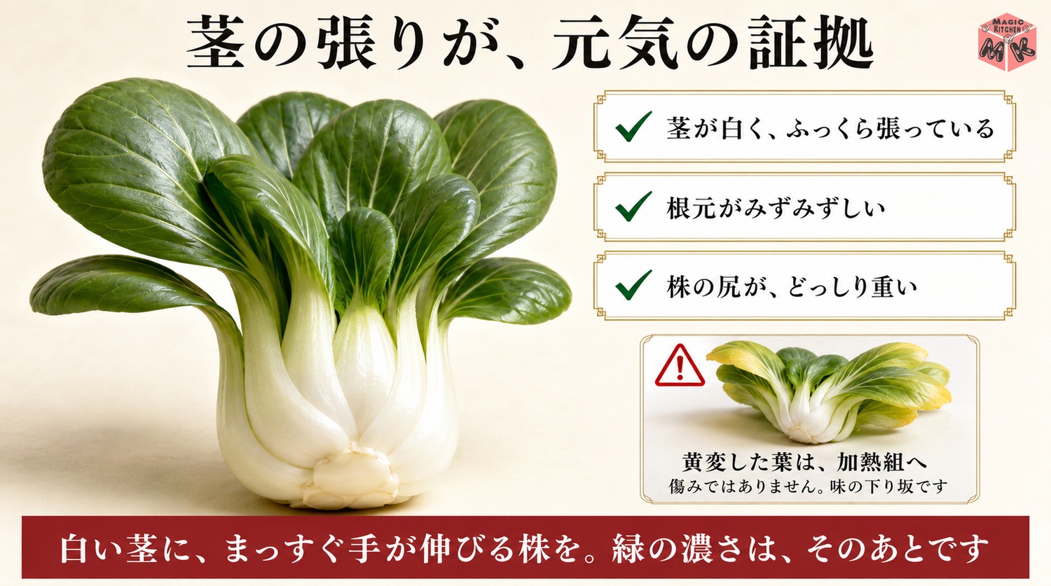 チンゲン菜の目利き3点の図解