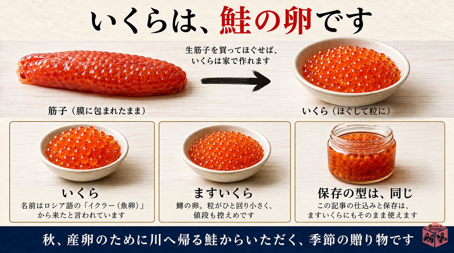 いくらは鮭の卵でますいくらとの違いを示した図解