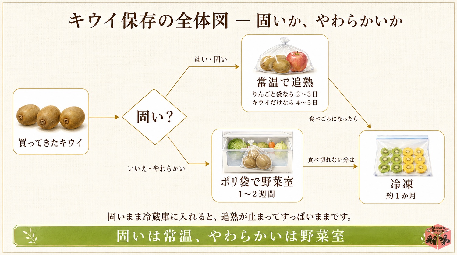 キウイ保存の全体図(固いか、やわらかいかで分かれる)