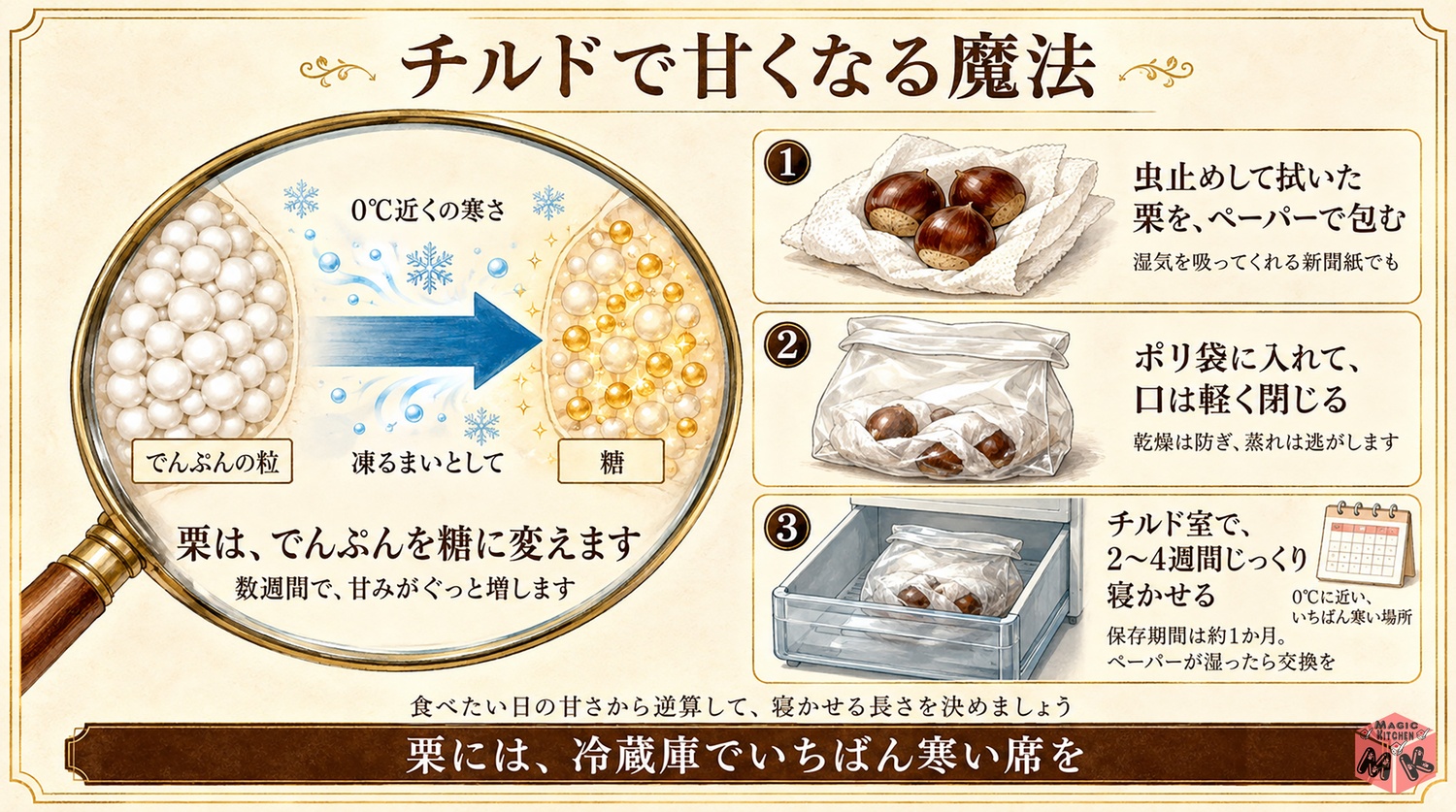 栗をチルド室で寝かせて甘くする方法の図解(でんぷんが糖に変わる・2〜4週間)