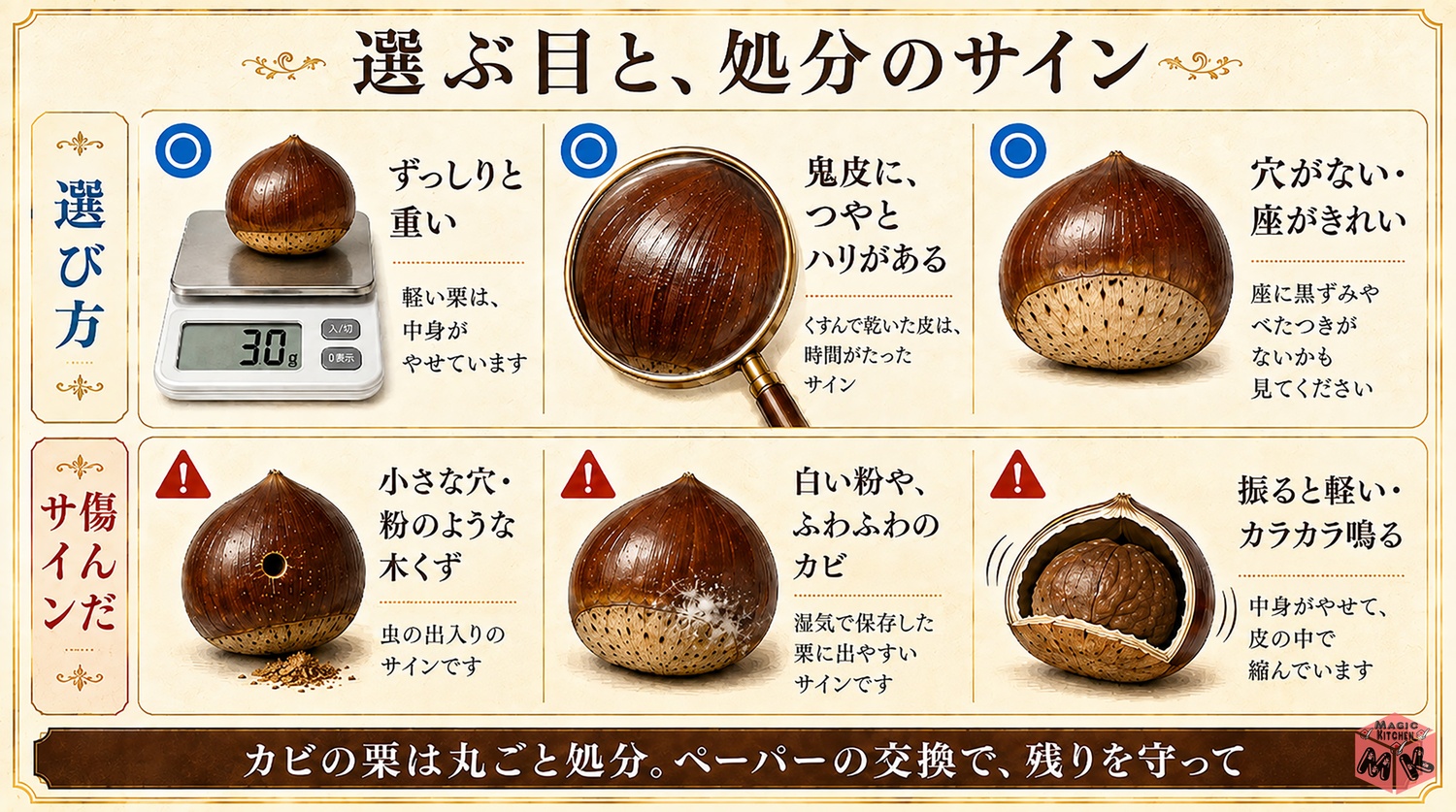 新鮮な栗の選び方と傷んだサインの図解