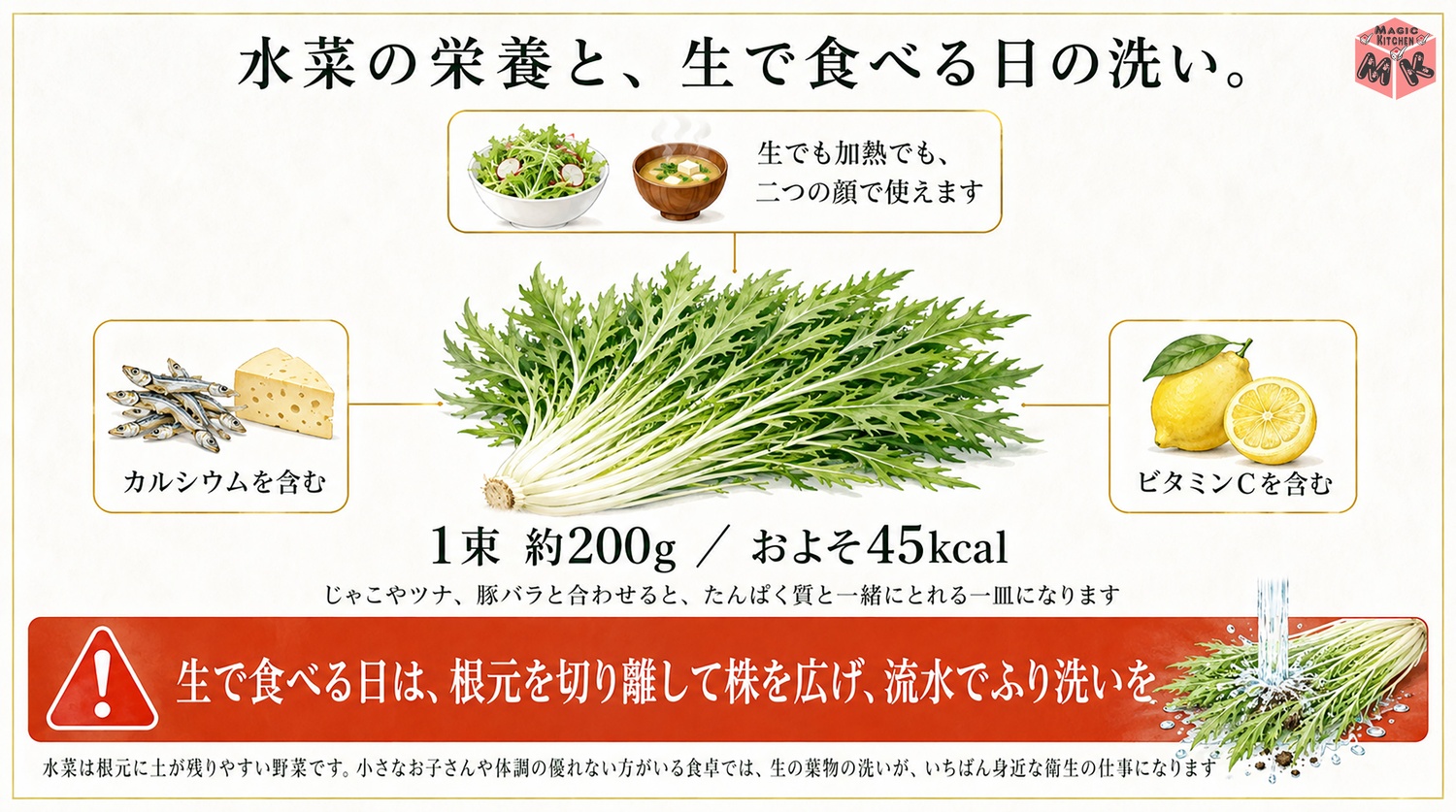 水菜の栄養と量の目安の図解