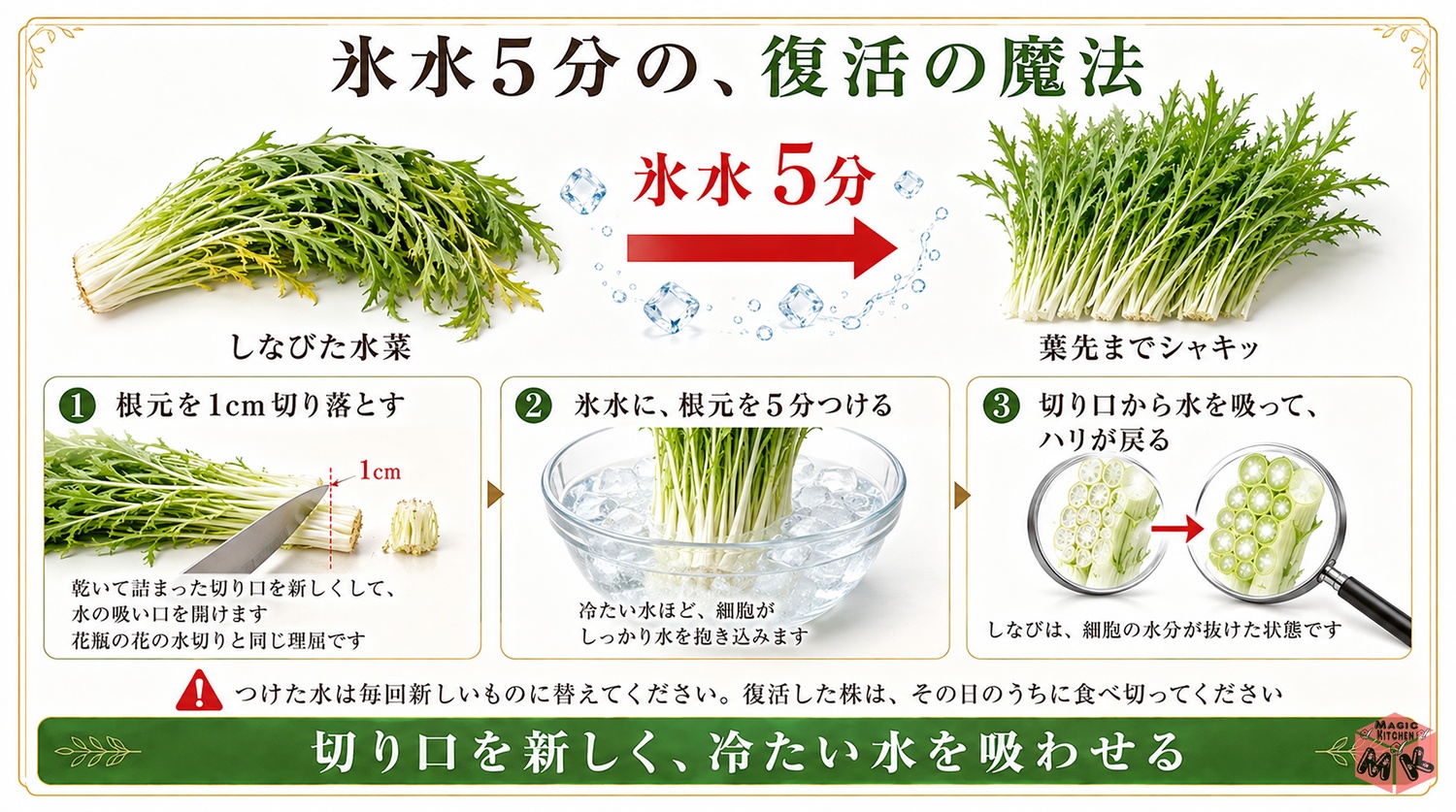 しなびた水菜を氷水5分で復活させる方法の図解(根元を1cm切り落として氷水へ)