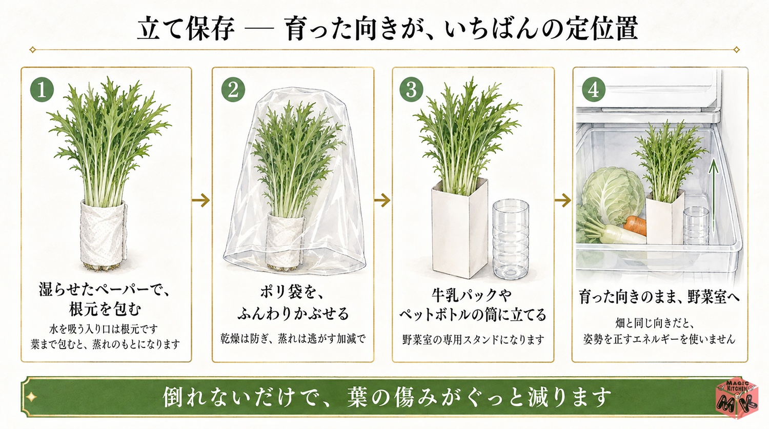 水菜を立てて保存する方法の図解(育った向きが定位置)