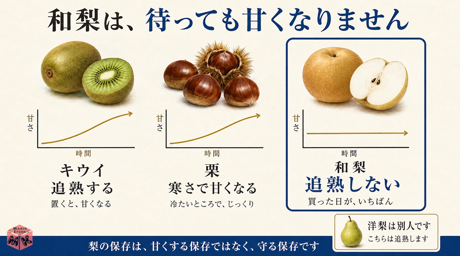 和梨は追熟しないことをキウイと栗と比べた図解(買った日がいちばん)