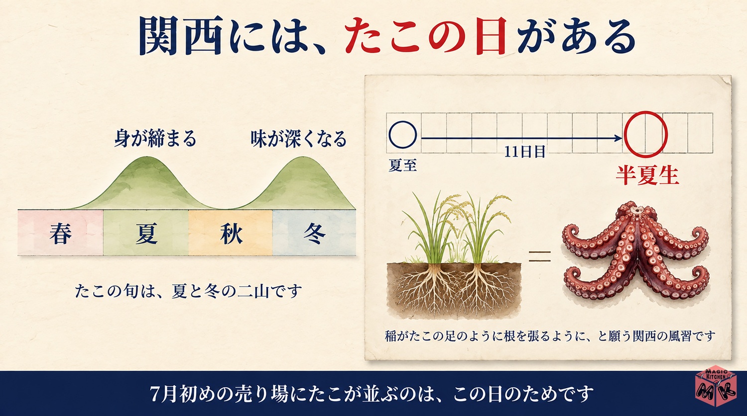 たこの旬と産地の図解