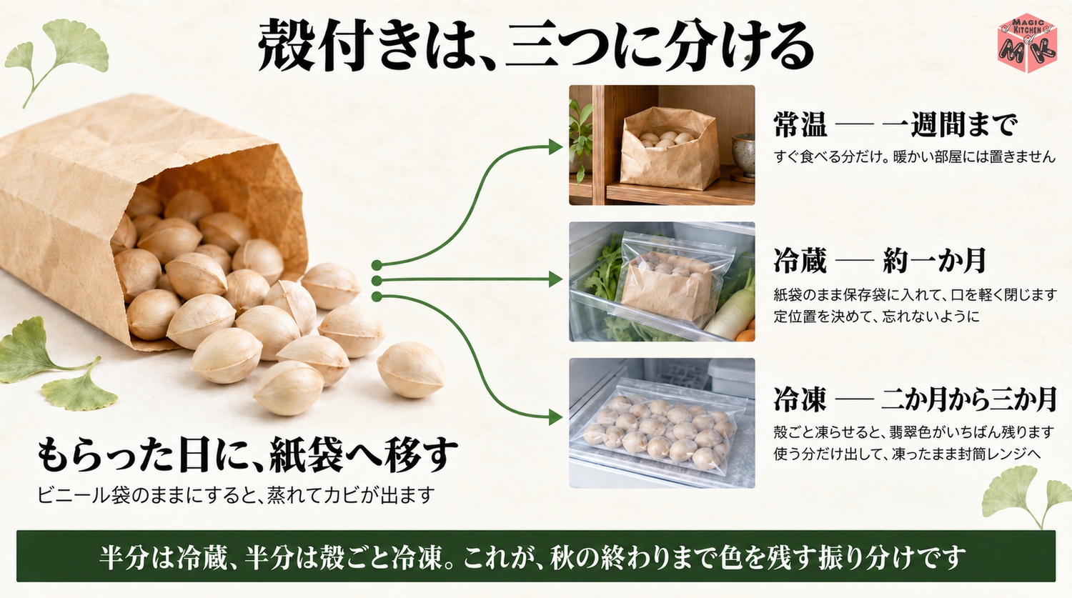 常温は紙袋で冷蔵は野菜室で冷凍は殻ごと保存袋の殻付きぎんなんの保存の使い分け図解