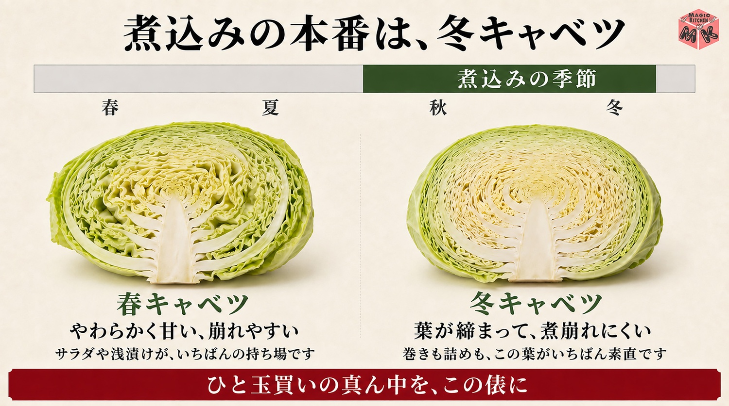 煮込みに向くのは葉が締まった冬キャベツという図解