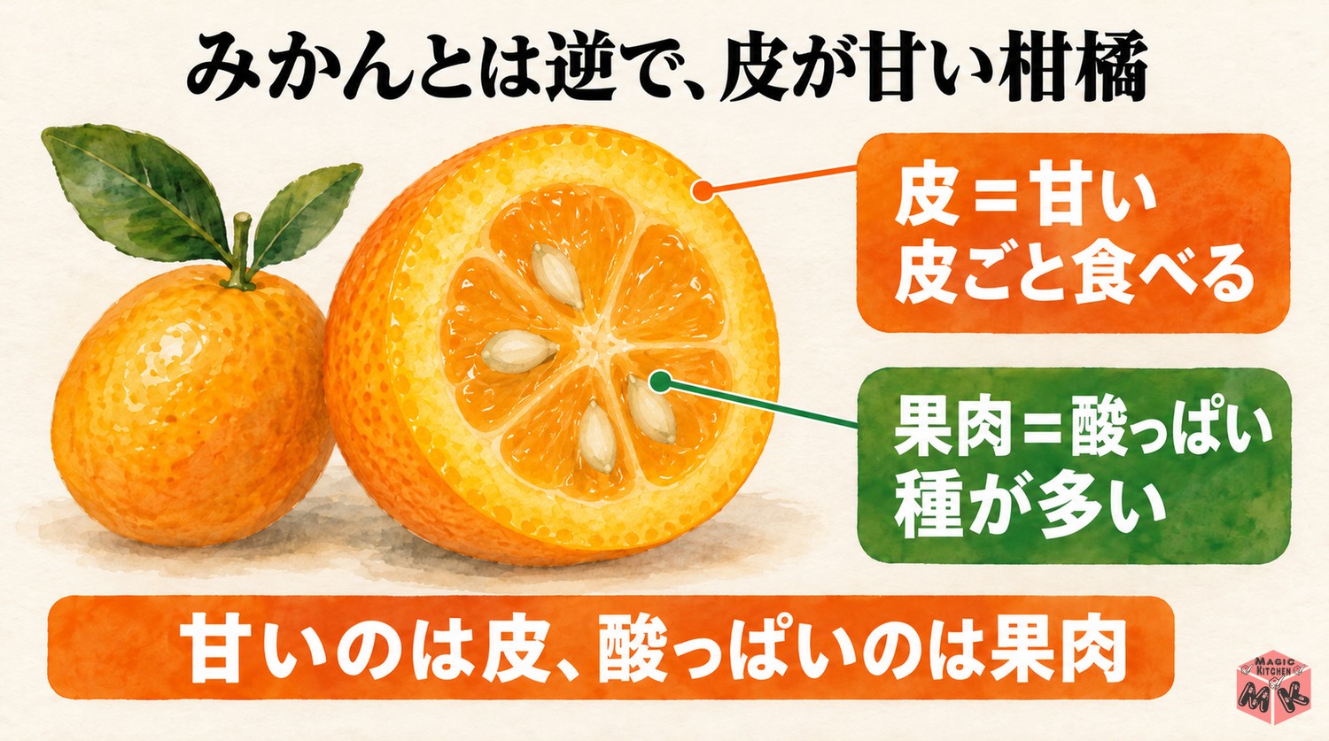 金柑の皮と果肉の特徴
