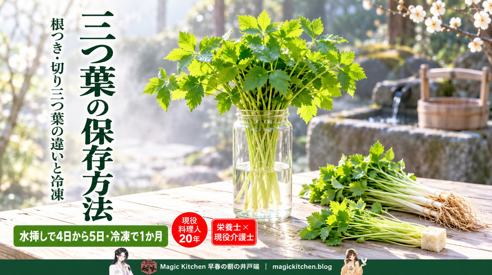 三つ葉の保存方法のアイキャッチ
