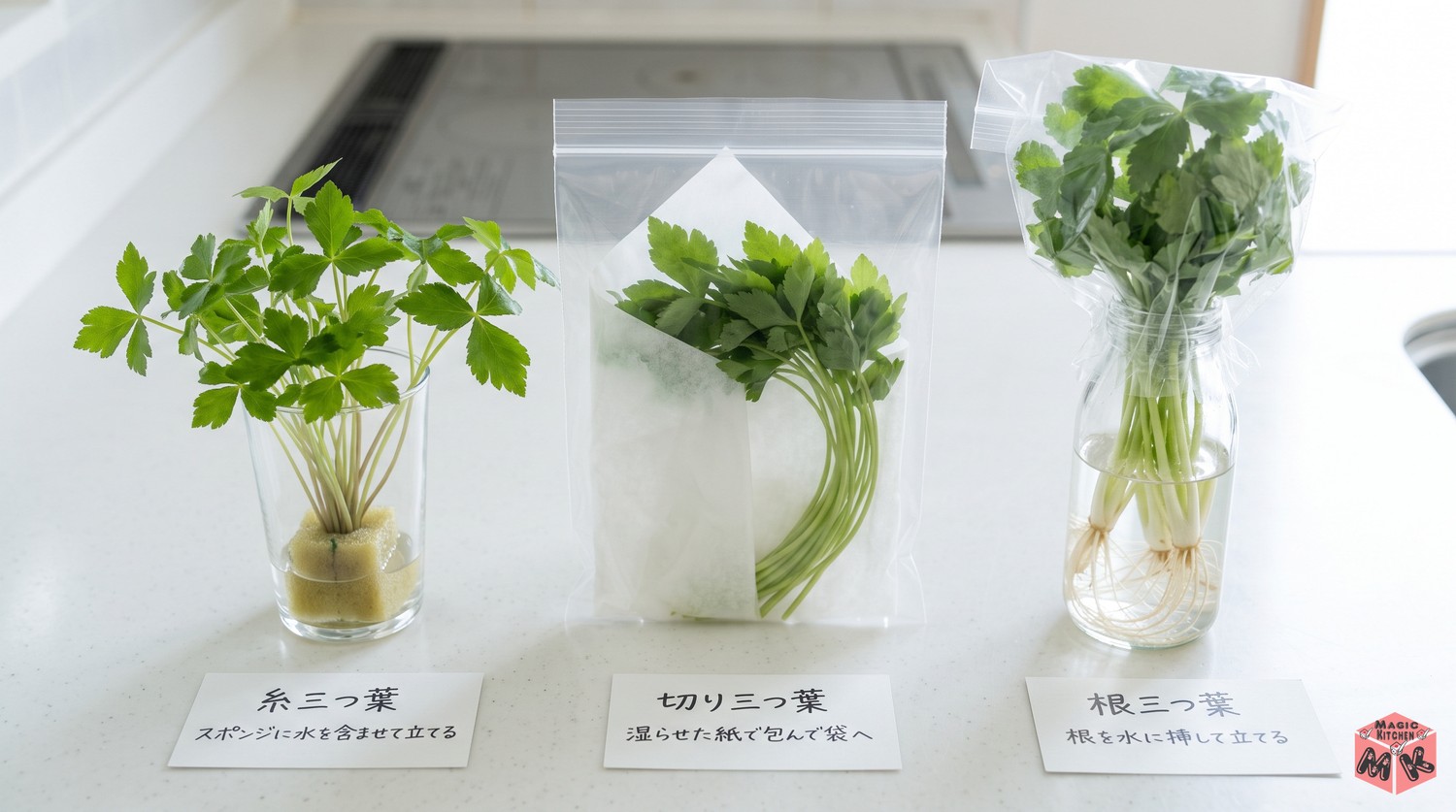 三つ葉の冷蔵保存の仕方
