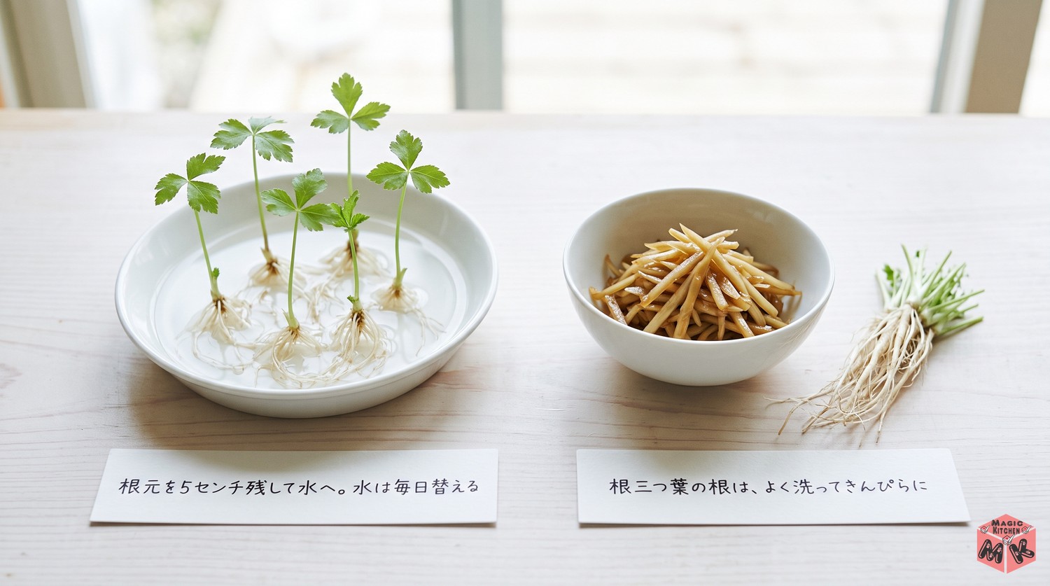 三つ葉の根の再生と使い切り