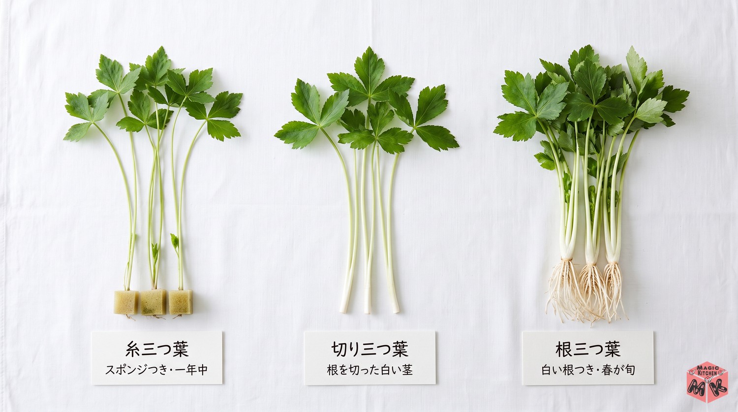 糸三つ葉・切り三つ葉・根三つ葉の違い