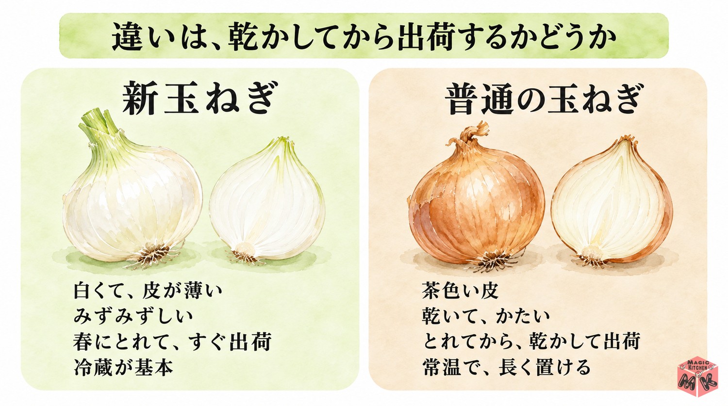 新玉ねぎと普通の玉ねぎの違い