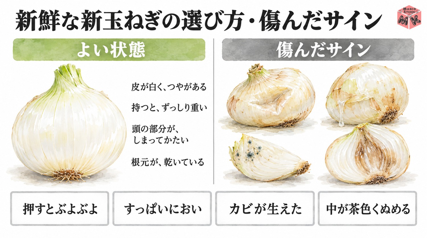 新玉ねぎの選び方と傷んだサイン